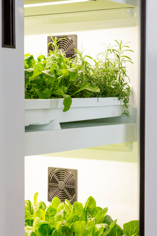 Urban Cultivator device