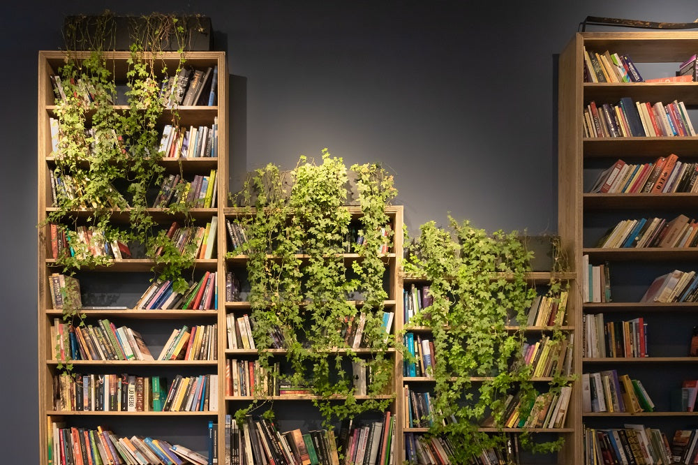 Plants draped over retro-style wooden bookshelves